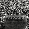 Lizzie Among Winter Leaves