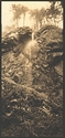Cascade