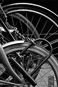 Bicycles chained