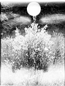 Strange light leaks and white globe.jpg