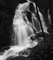 SteelHead Falls
