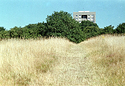 Landscape off Weald Road 01