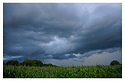 Summer corn, summer storm