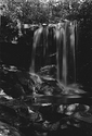 Cole Run Falls