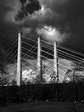 Pitt River Bridge