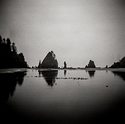 Sandpipers and Seastacks.jpg