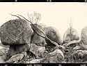 Kildare