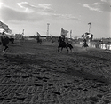 Cowboying up in Kiowa.