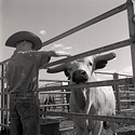 Cowboying up in Kiowa.
