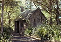 Bush Shed