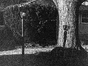 Light at Paul's House