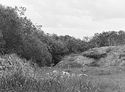 Helton Nature Park
