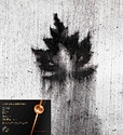 Ephemeral Imprint