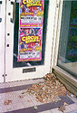 Old EKTAR 04