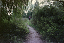 Yashica ML 28mm Test 02