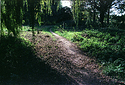 Yashica ML 28mm Test 03