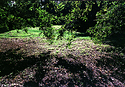 YASHICA  ML 28mm Test 04
