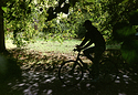 Yashica ML 50mm f2 Test