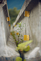 Walls treat