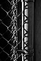 Fence