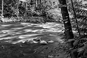 Coquitlam River
