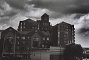 Looming building