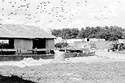 Cow shed