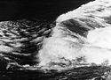 Vortex