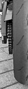 Tyre and chain.jpg
