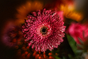 Flowerworks