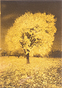 Orotone - AutumnTree