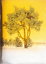 Orotone - Como Tree