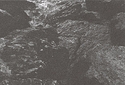 Concrete Rock in Sea.JPG