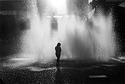 Silver Springs Silhouette