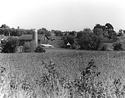 Sonatas XII-85 (Farms)