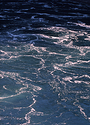 Water Gods Sputum