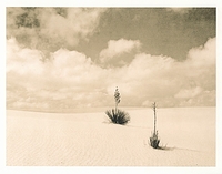 White Sands NP