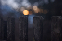 On the fence about light