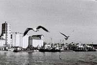 Old grain silos at port.jpg