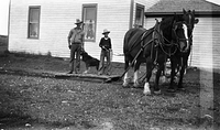 Horses and dray, 1920's.jpg