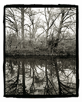 Onion Creek Reflection