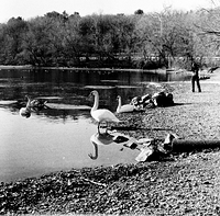 Ever get the sense you're being watched?