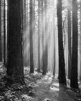 Columbia River Gorge, OR