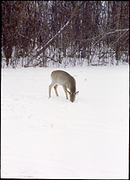 Finding What You Need