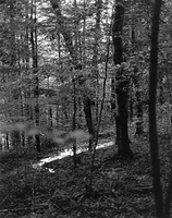 Sequenzes I-3 (Puddles of Sunshine)