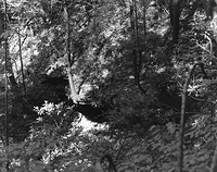 Sequenzes I-5 (Puddles of Sunshine)