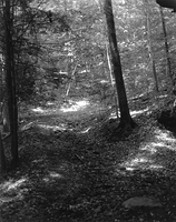 Sequenzes I-9 (Puddles of Sunshine)