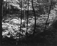 Sequenzes I-10 (Puddles of Sunshine)