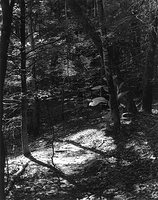 Sequenzes I-12 (Puddles of Sunshine)