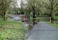 Flooding in The Park